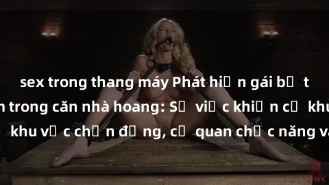 sex trong thang máy Phát hiện gái bị trói và bị hiếp dâm trong căn nhà hoang: Sự việc khiến cả khu vực chấn động, cơ quan chức năng vào cuộc để làm rõ.